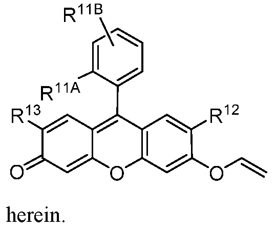 Figure imgf000051_0005