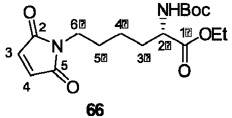 Figure imgb0185