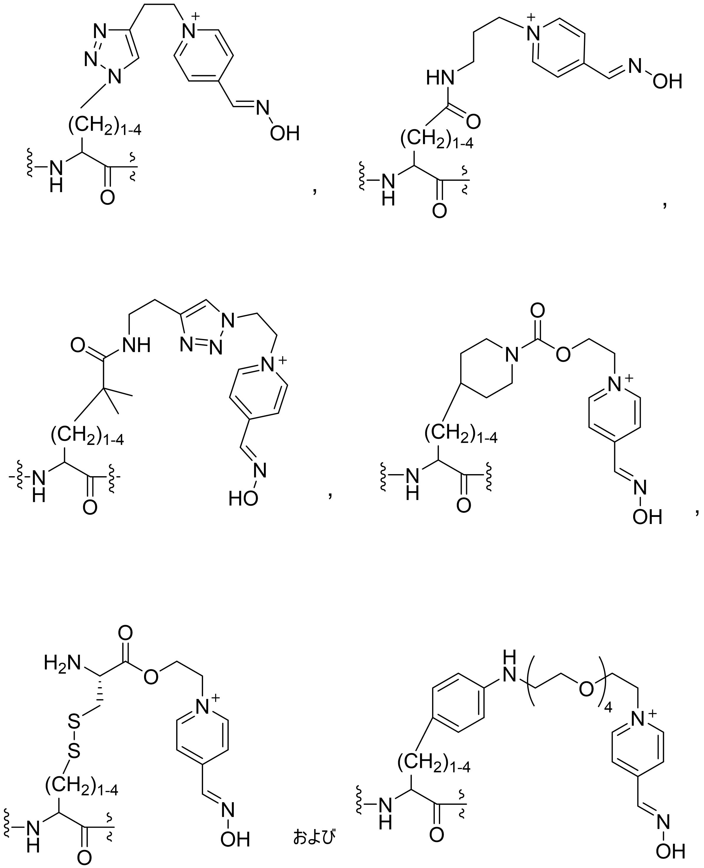 Figure JPOXMLDOC01-appb-C000029