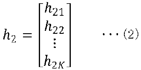 Figure imgb0002