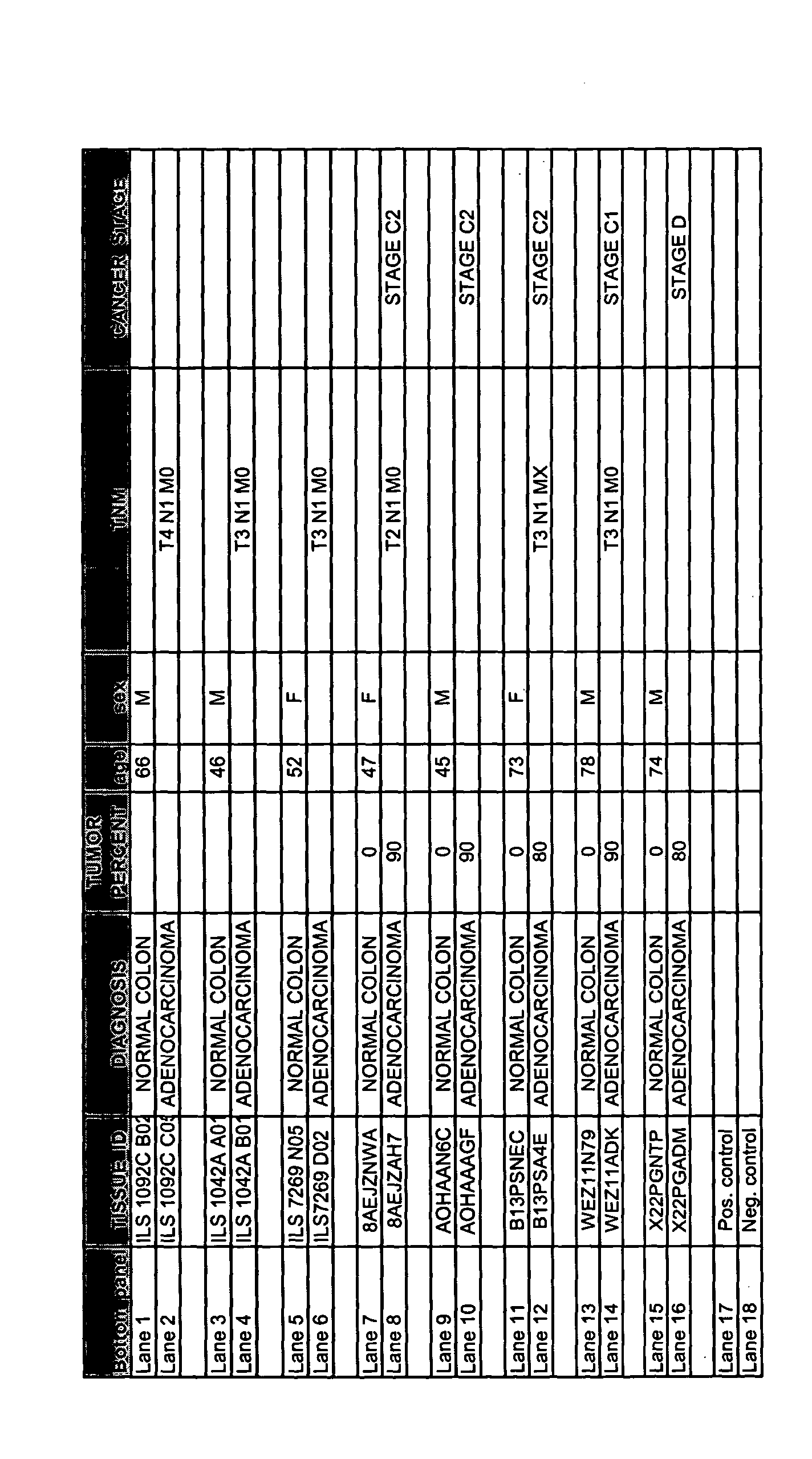 Figure 00320001