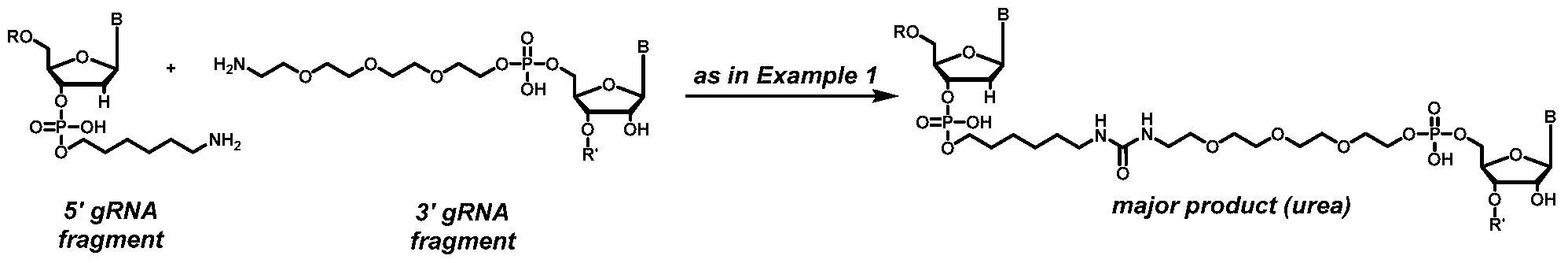 Figure imgf000308_0001