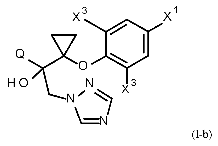 Figure imgf000004_0002