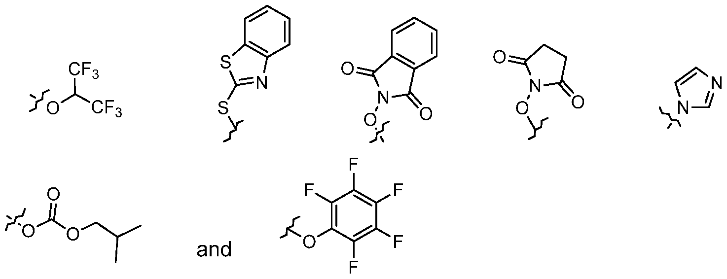 Figure imgf000083_0004