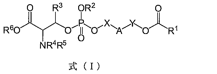 Figure JPOXMLDOC01-appb-C000005