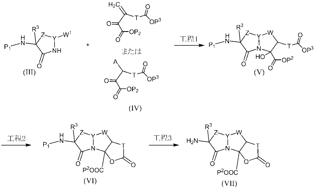 Figure JPOXMLDOC01-appb-C000153