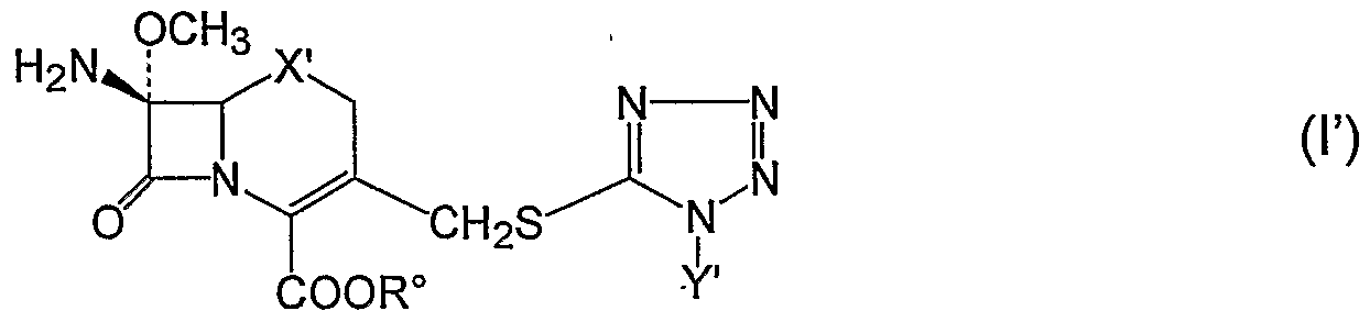 Figure imgf000009_0001