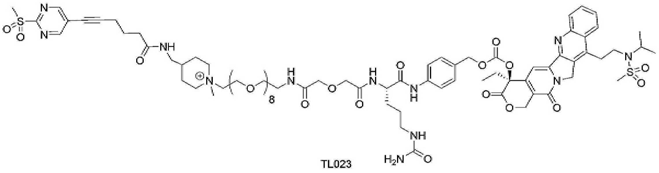 Figure pct01116