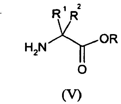 Figure imgb0046