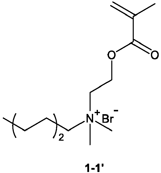 Figure imgb0010