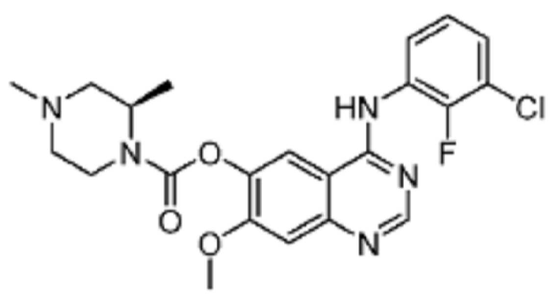 KR20220130190A - 암 치료를 위한 표피성장인자 수용체 티로신 키나제 억제제 - Google Patents