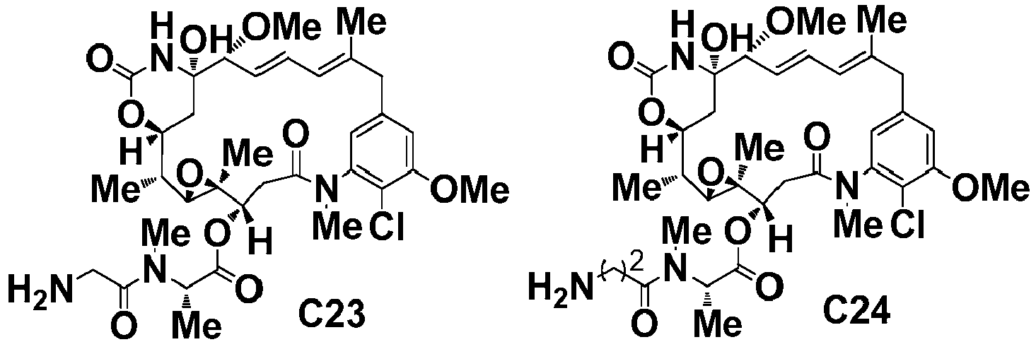 Figure imgb0217