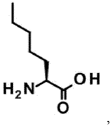 Figure imgb0010