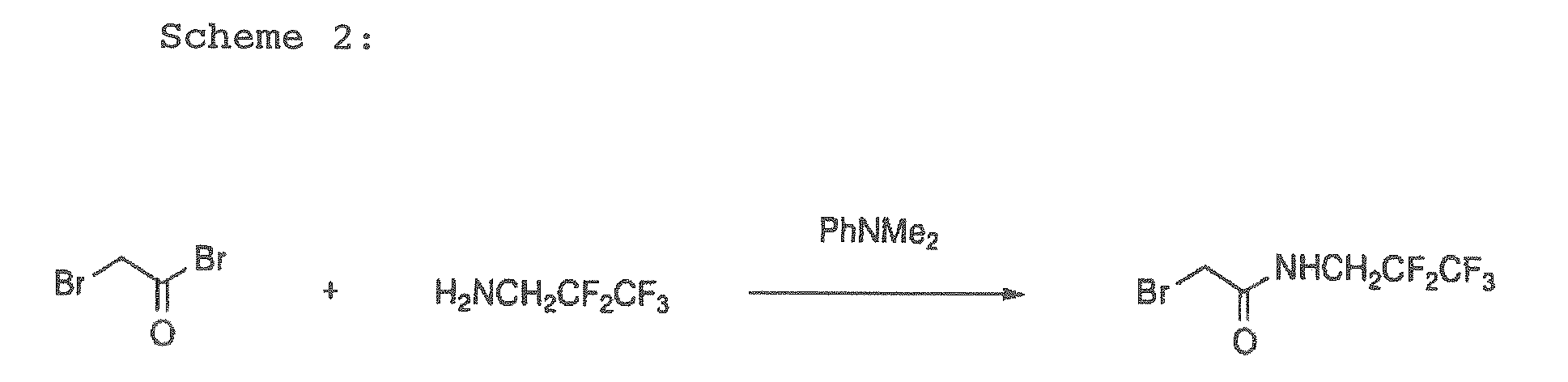Figure imgb0010
