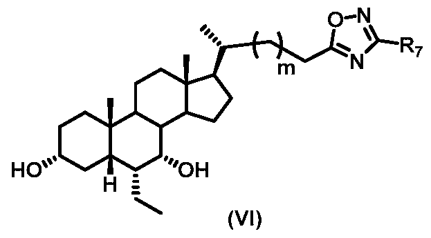 Figure imgf000013_0002