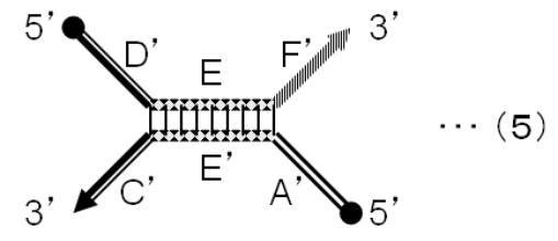 Figure JPOXMLDOC01-appb-C000005
