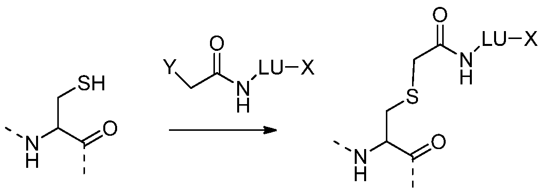 Figure imgf000053_0002
