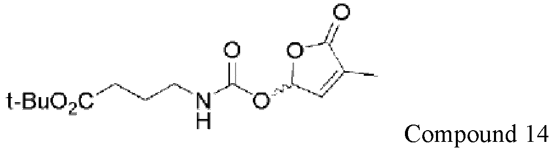 Figure imgb0119