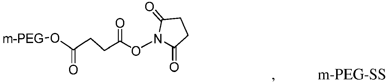 Figure imgb0170