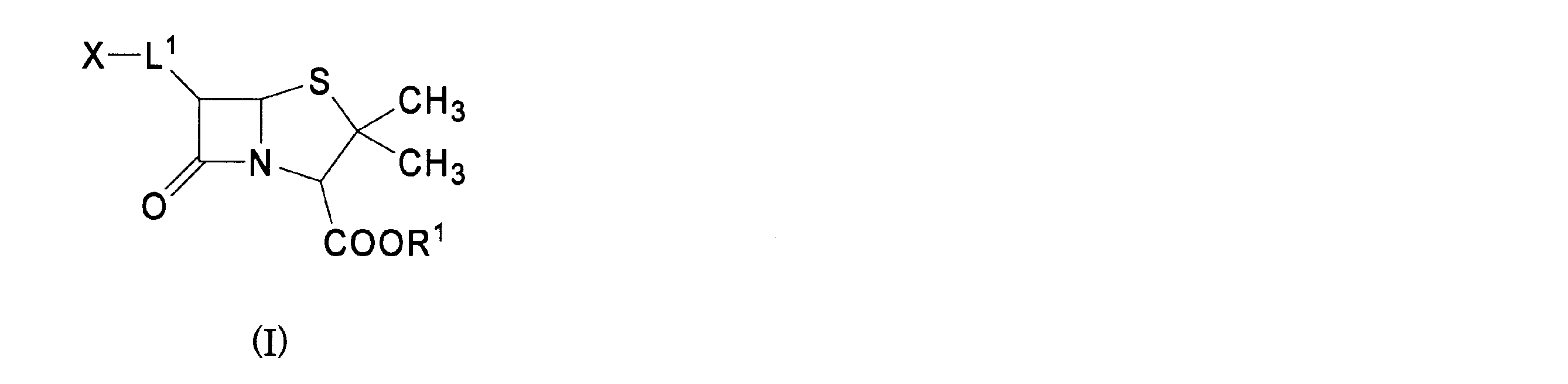 Figure JPOXMLDOC01-appb-C000002