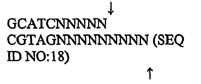 Figure imgb0018