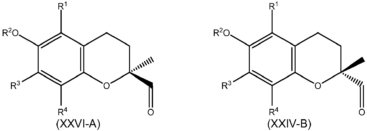 Figure imgb0049