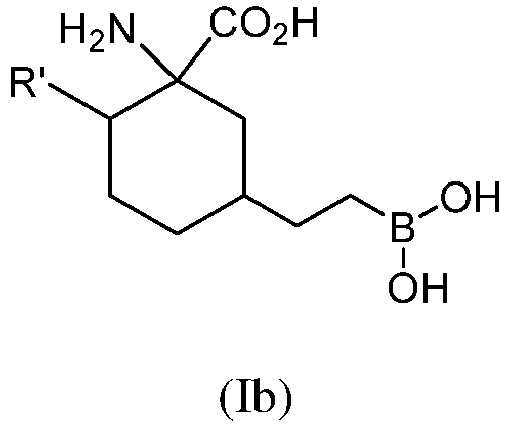 Figure imgb0014