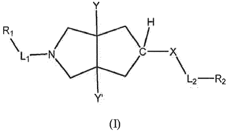 Figure imgb0002