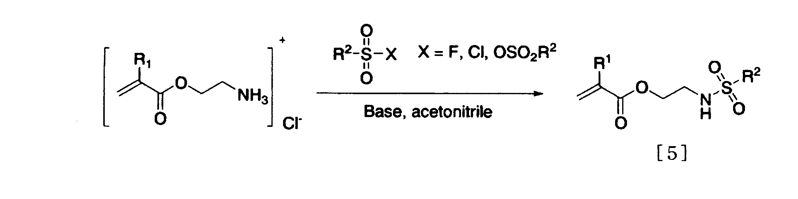 Figure JPOXMLDOC01-appb-C000009