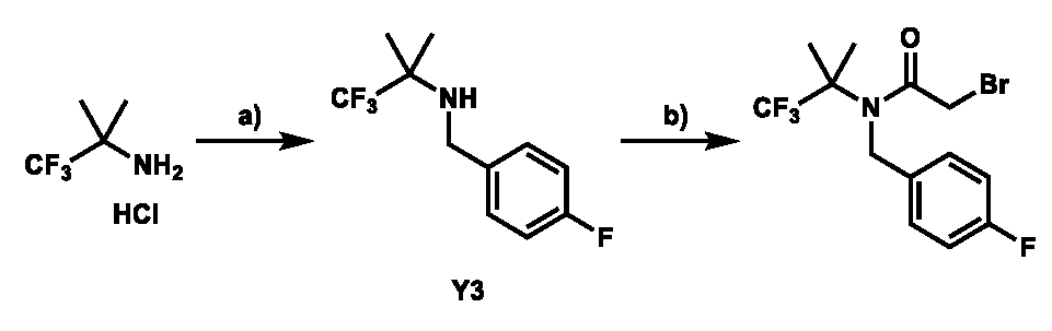 Figure JPOXMLDOC01-appb-C000042