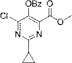Figure JPOXMLDOC01-appb-C000019