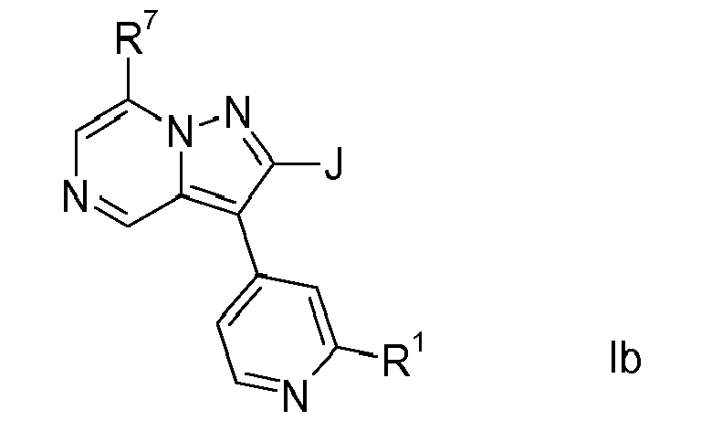 Figure imgb0004