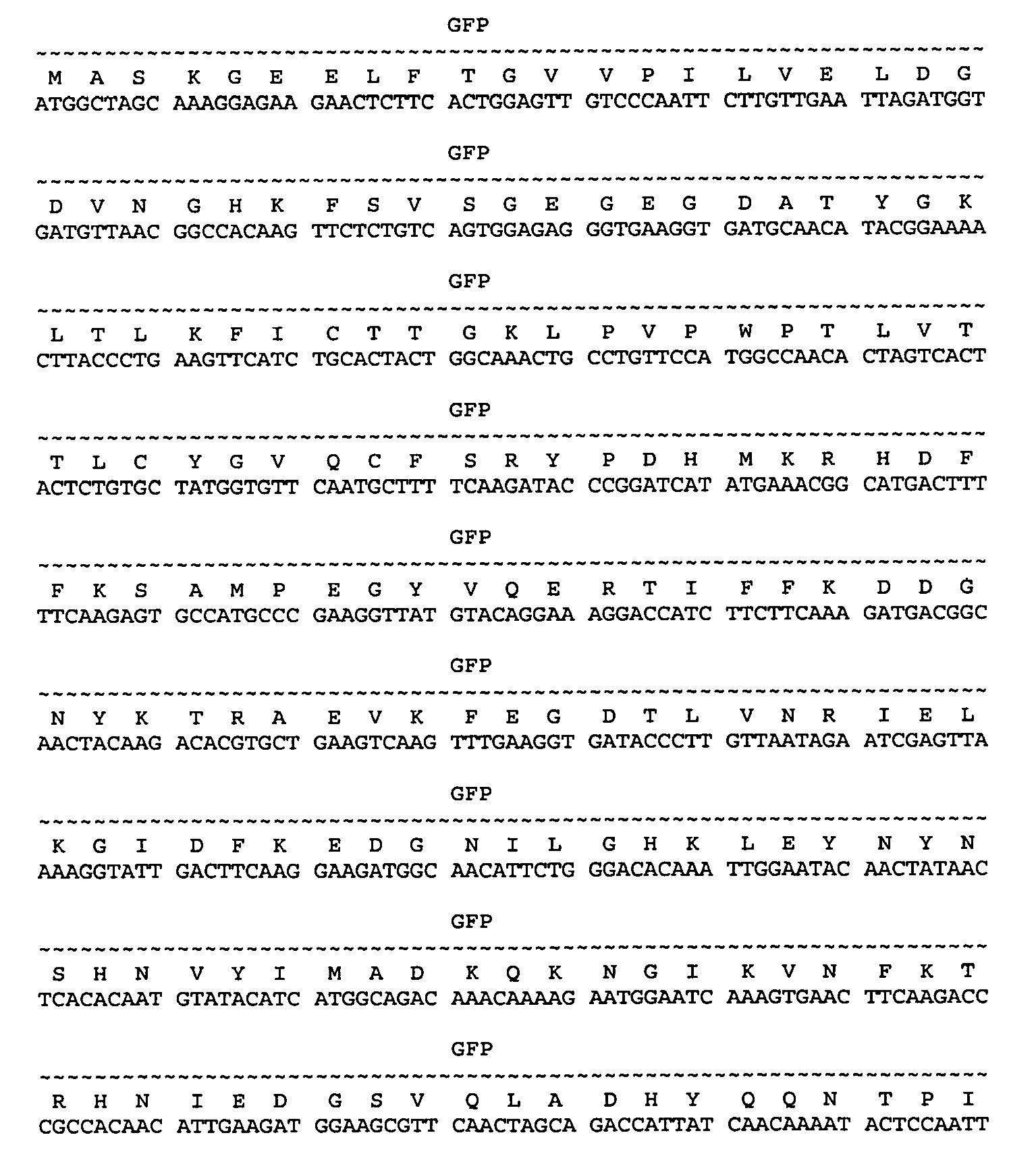 Figure imgb0010