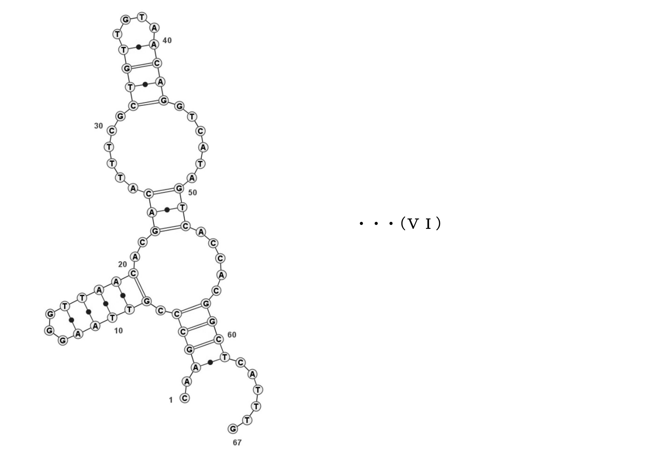 Figure JPOXMLDOC01-appb-C000013