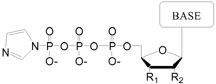 Figure imgb0010