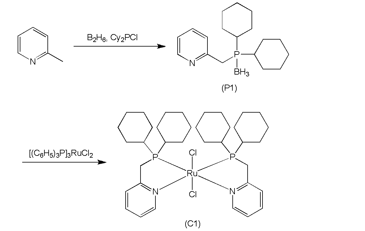Figure JPOXMLDOC01-appb-C000019
