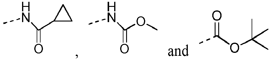 Figure imgb0004