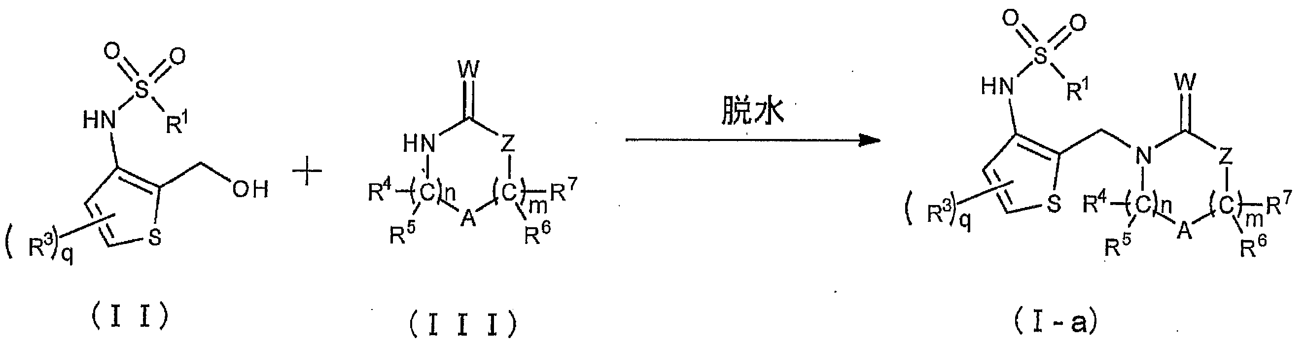 Figure JPOXMLDOC01-appb-C000009