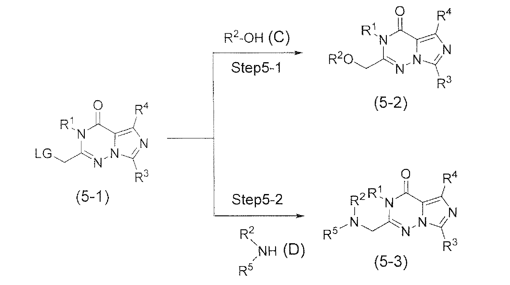Figure JPOXMLDOC01-appb-C000011