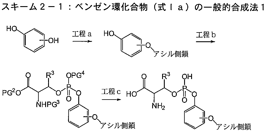 Figure JPOXMLDOC01-appb-C000025