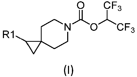 Figure imgb0001