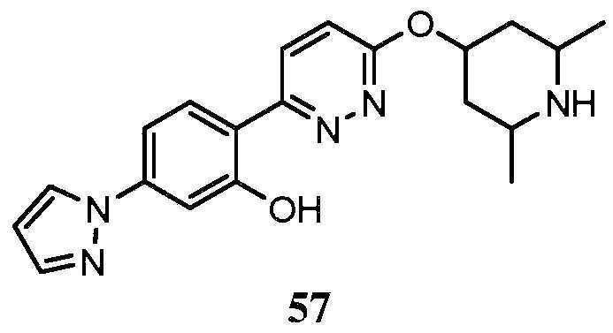 Figure pct00211