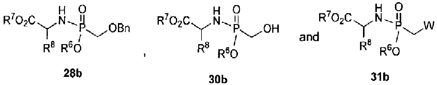 Figure imgb0176