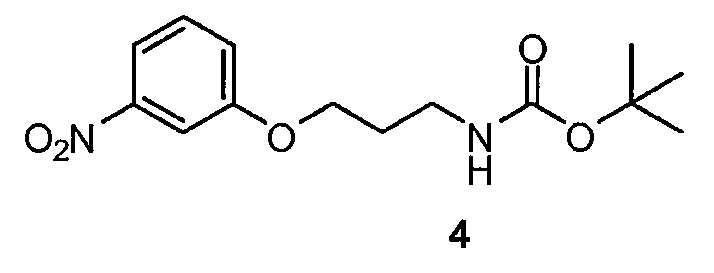 Figure pat00339
