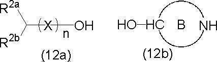Figure JPOXMLDOC01-appb-C000021