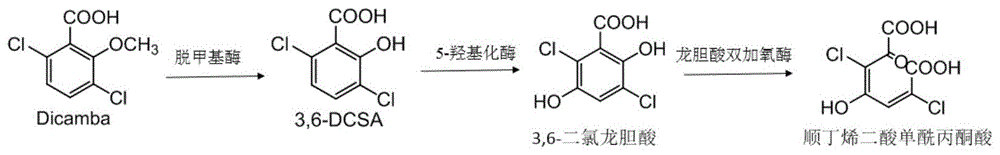 Figure 201711069144