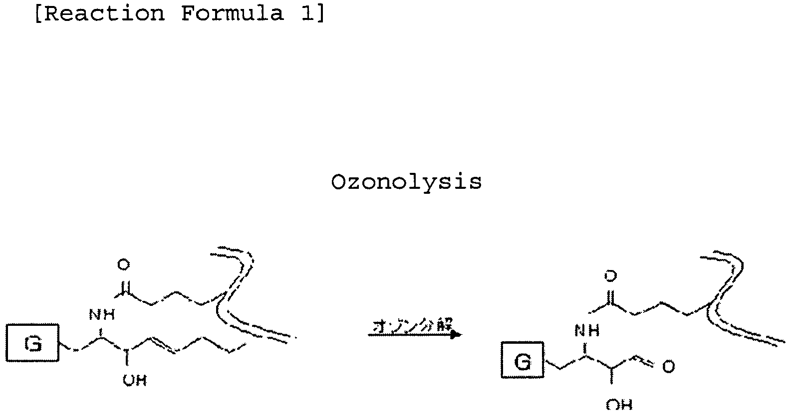 Figure imgb0010