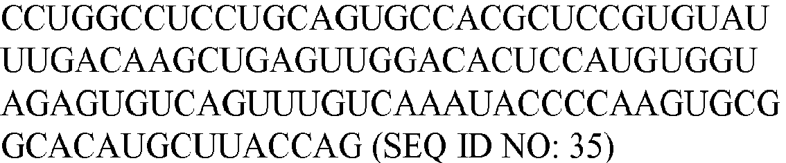 Figure imgb0036