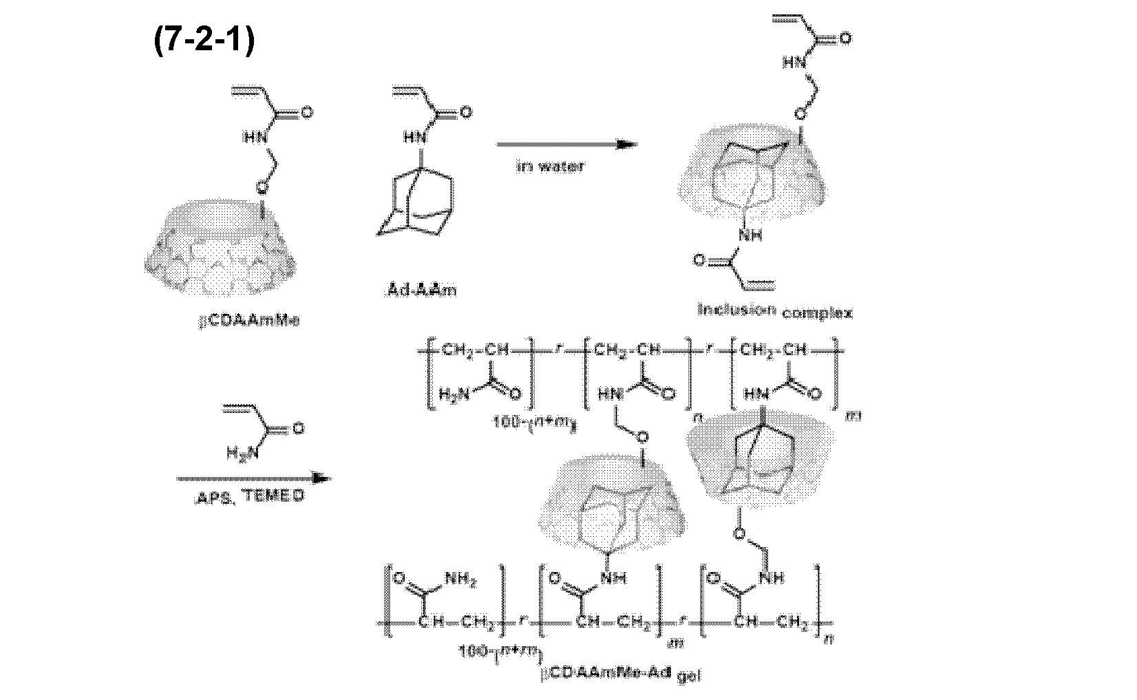 Figure JPOXMLDOC01-appb-C000035