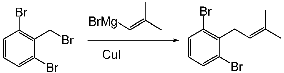 Figure imgb0204